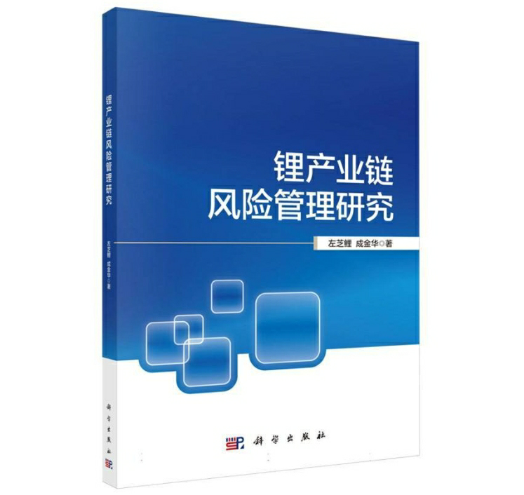 锂产业链风险管理研究