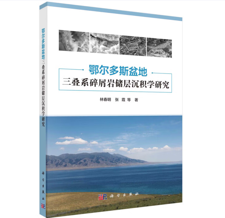 鄂尔多斯盆地三叠系碎屑岩储层沉积学研究