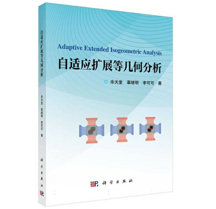 自适应扩展等几何分析