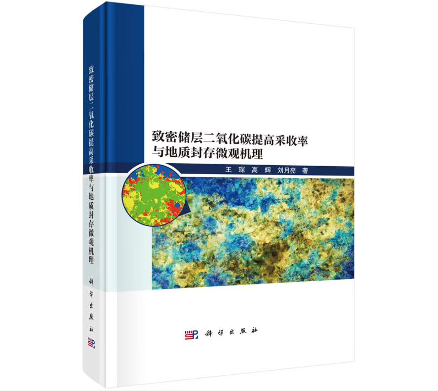 致密储层二氧化碳提高采收率与地质封存微观机理