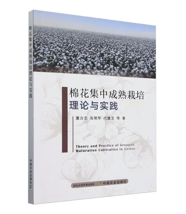 棉花集中成熟栽培理论与实践