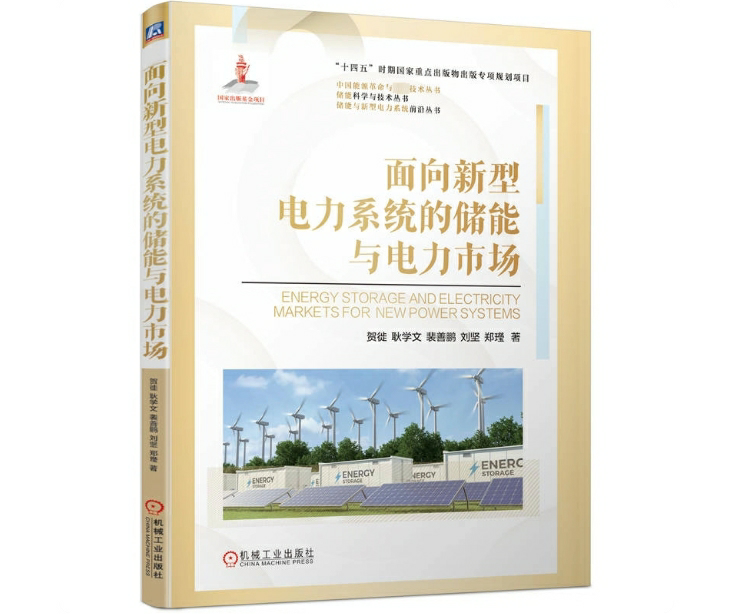面向新型电力系统的储能与电力市场
