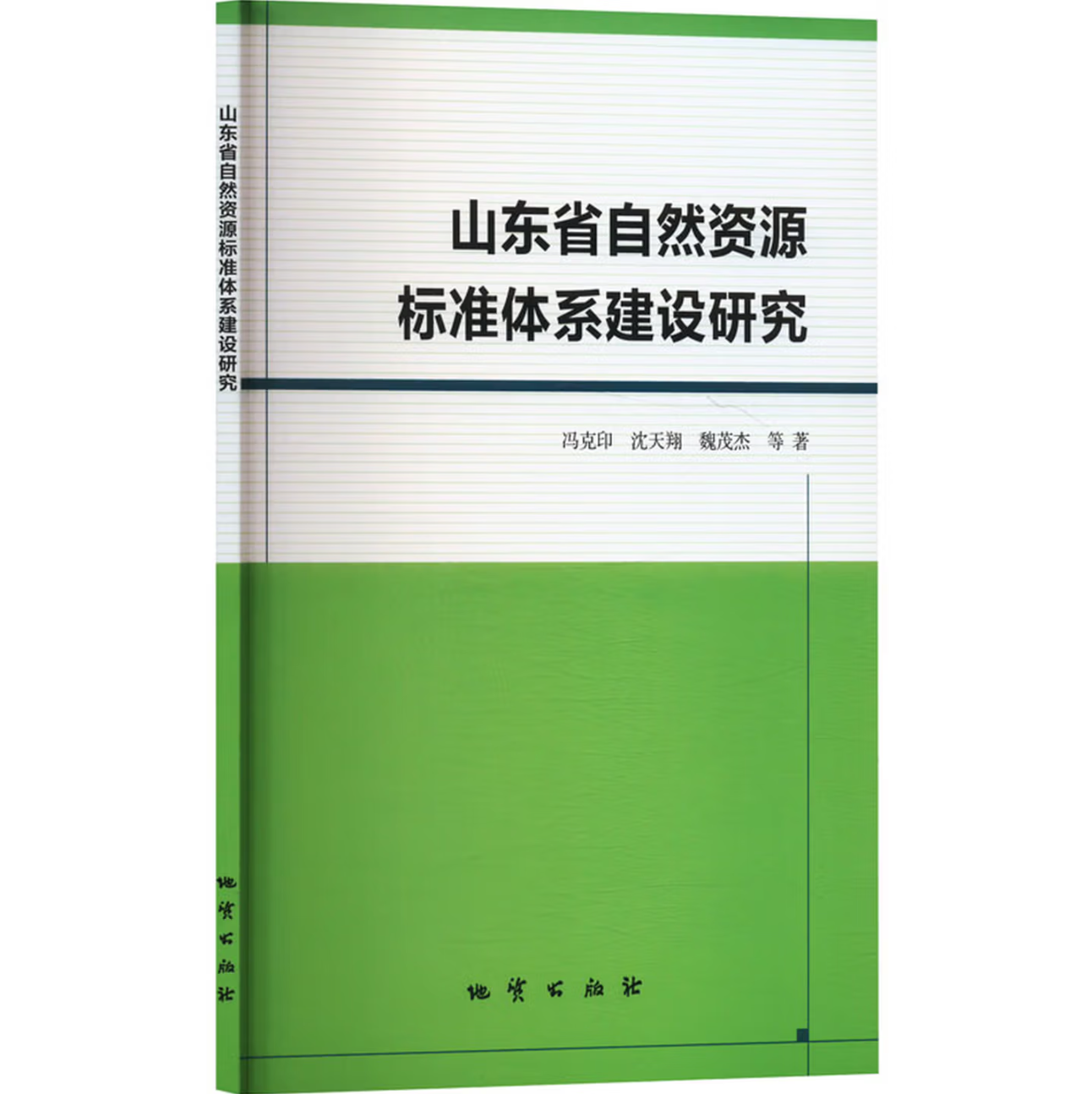 山东省自然资源标准体系建设研究