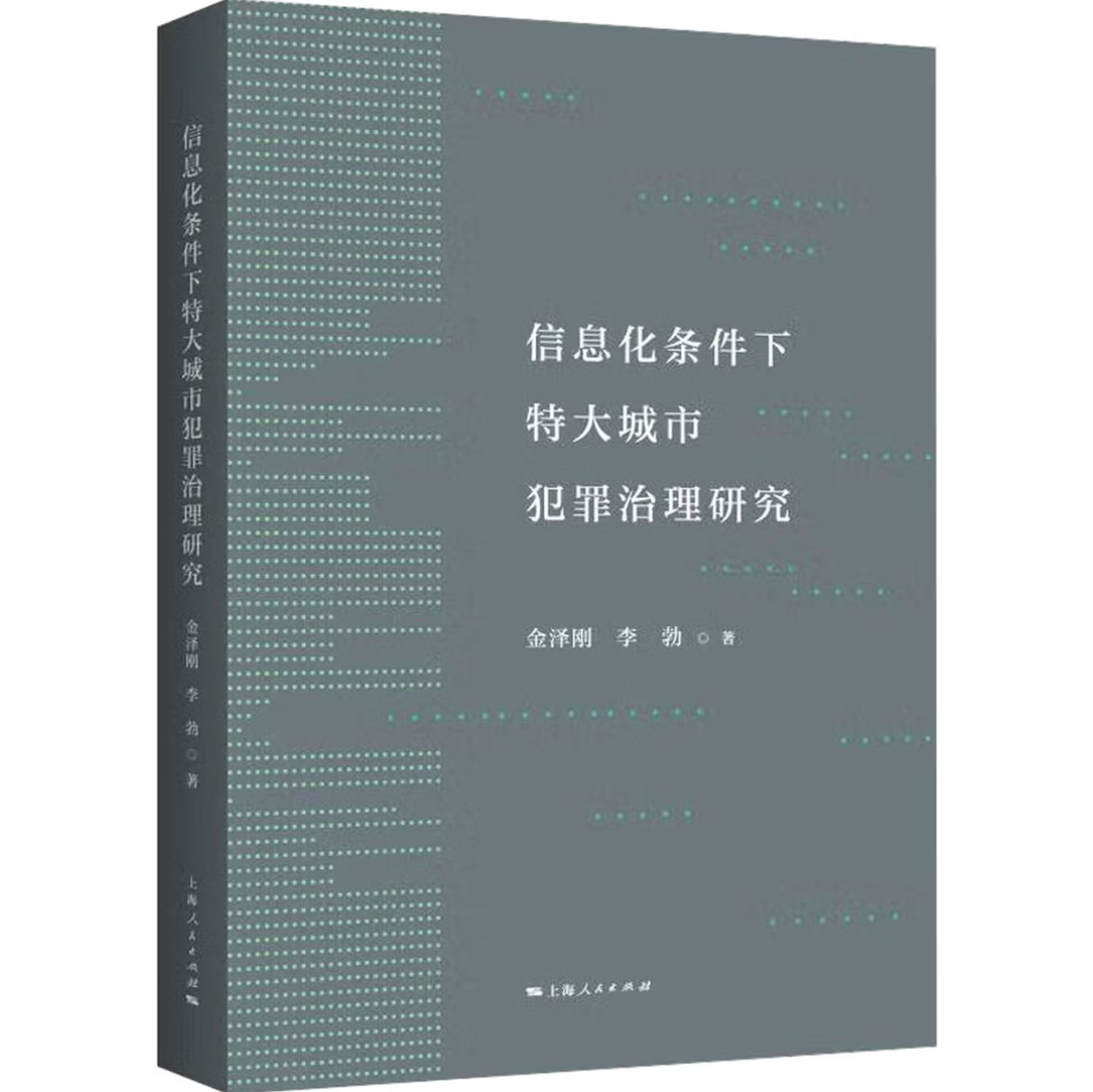 信息化条件下特大城市犯罪治理研究