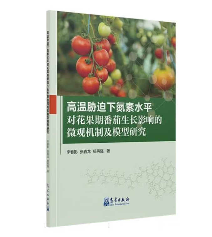 高温胁迫下氮素水平对花果期番茄生长影响的微观机制及模型研究