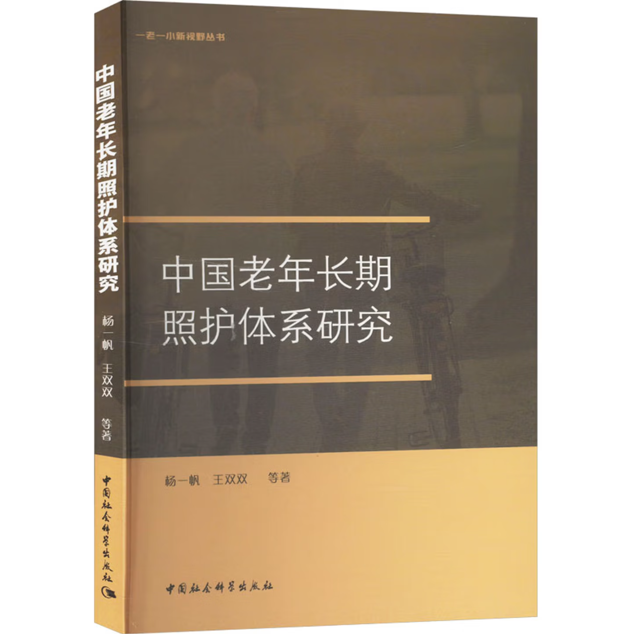 中国老年长期照护体系研究