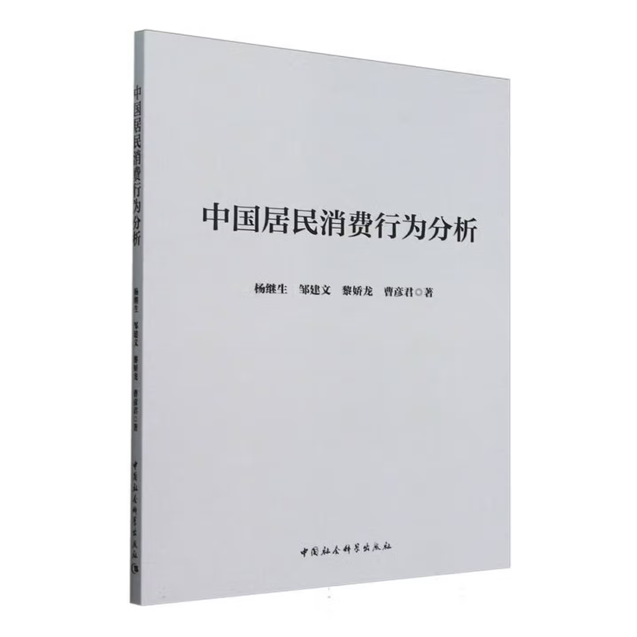 中国居民消费行为分析