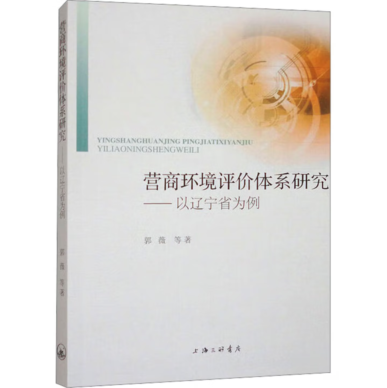 营商环境评价体系研究