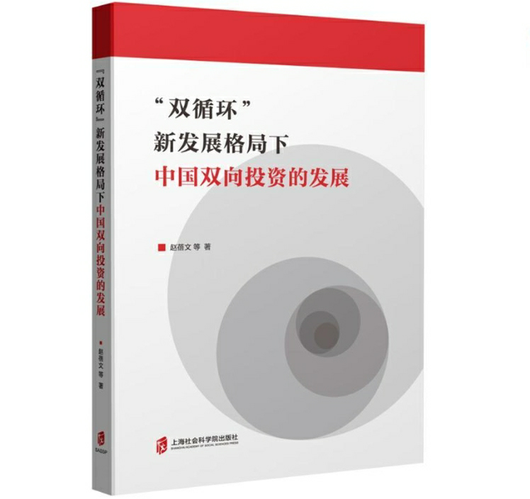 “双循环”新发展格局下中国双向投资的发展