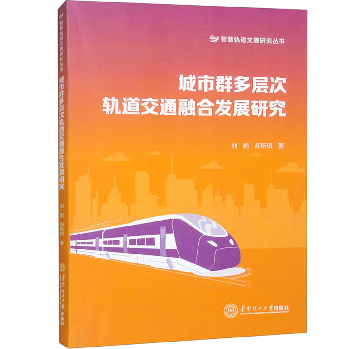 城市群多层次轨道交通融合发展研究