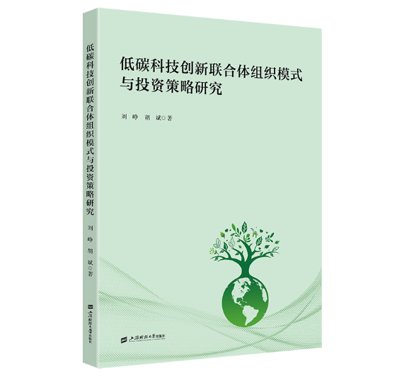 低碳科技创新联合体组织模式与投资策略研究