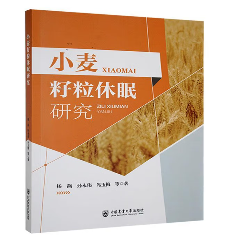 小麦籽粒休眠研究