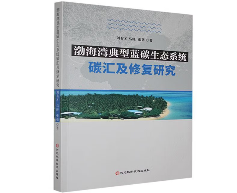 渤海湾典型蓝碳生态系统碳汇及修复研究