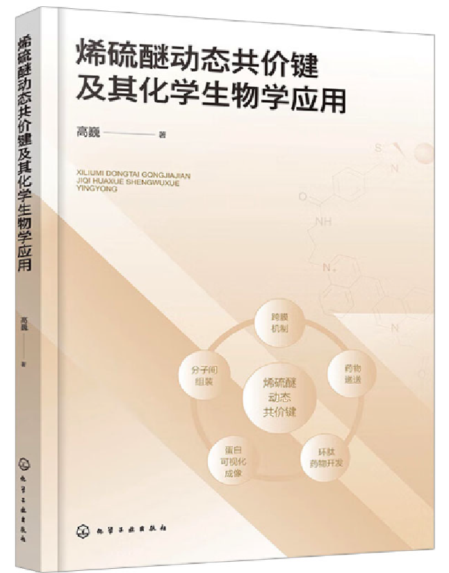 烯硫醚动态共价键及其化学生物学应用