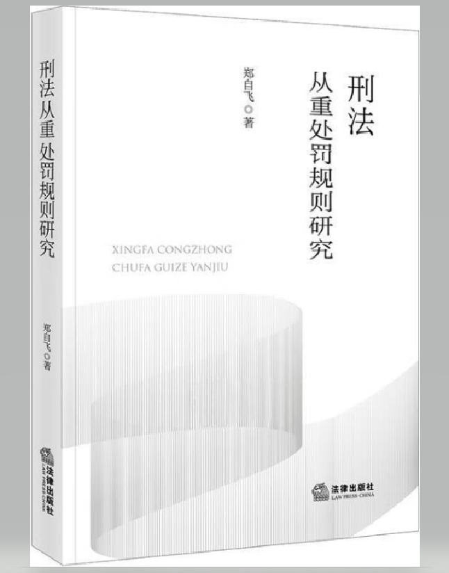 刑法从重处罚规则研究