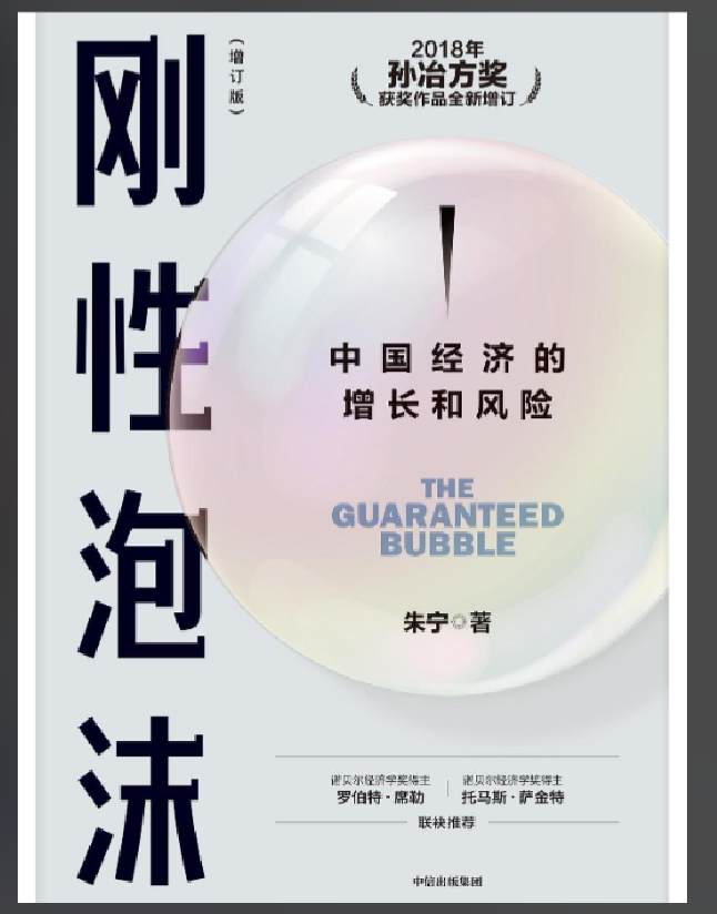 刚性泡沫：中国经济的增长和风险