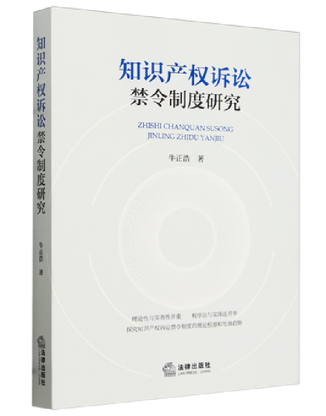 知识产权诉讼禁令制度研究