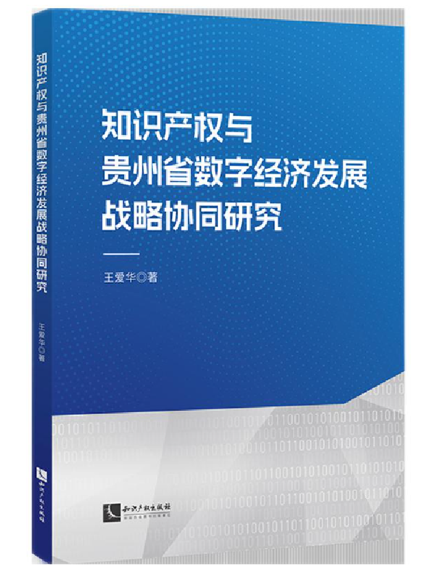 知识产权与贵州省数字经济发展战略协同研究