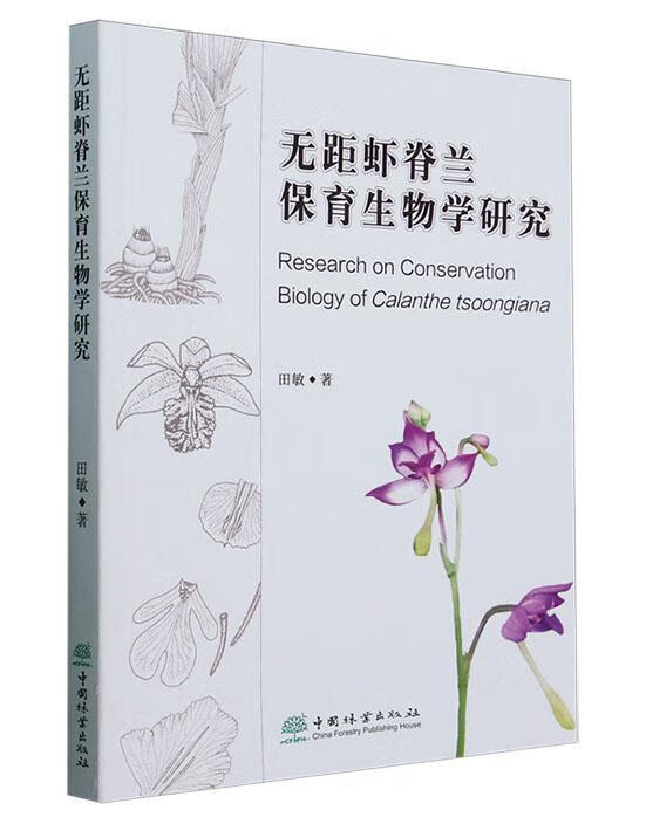 无距虾脊兰保育生物学研究
