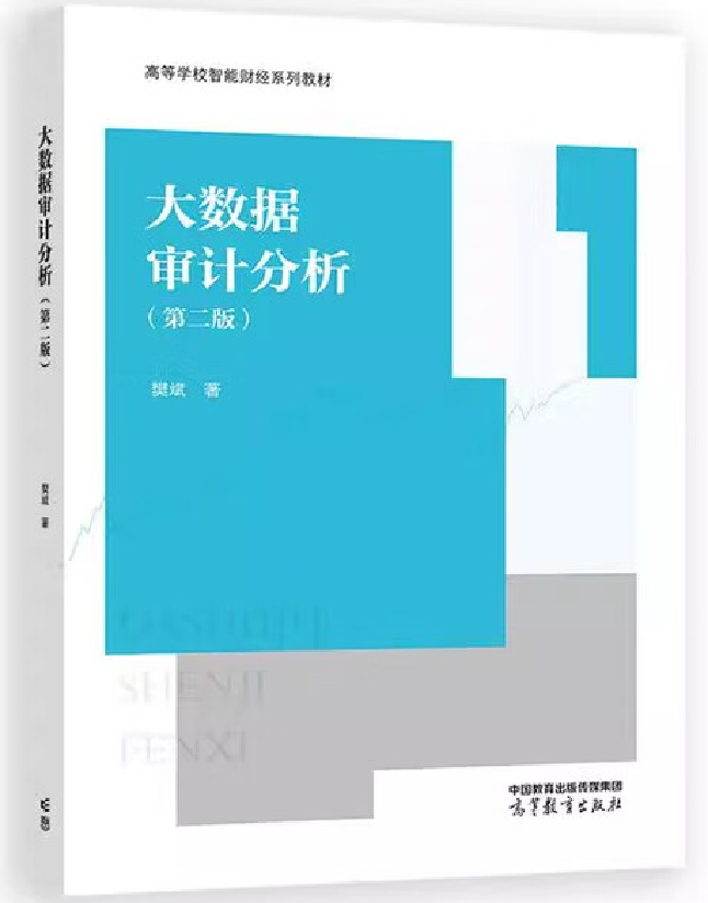 大数据审计分析