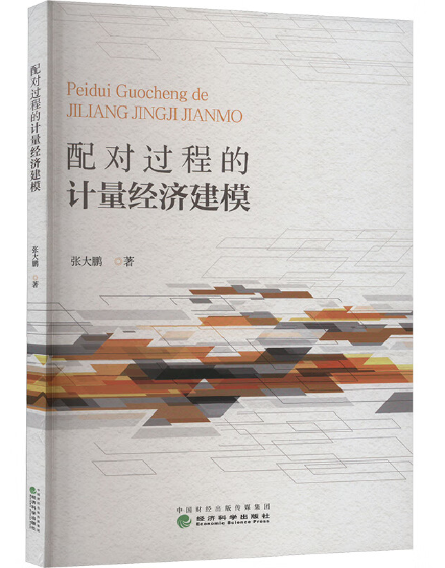 配对过程的计量经济建模