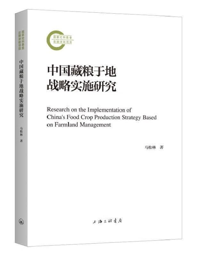 中国藏粮于地战略实施研究