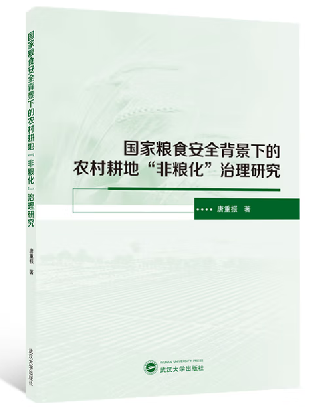 国家粮食安全背景下的农村耕地“非粮化”治理研究