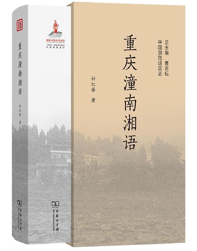 重庆潼南湘语