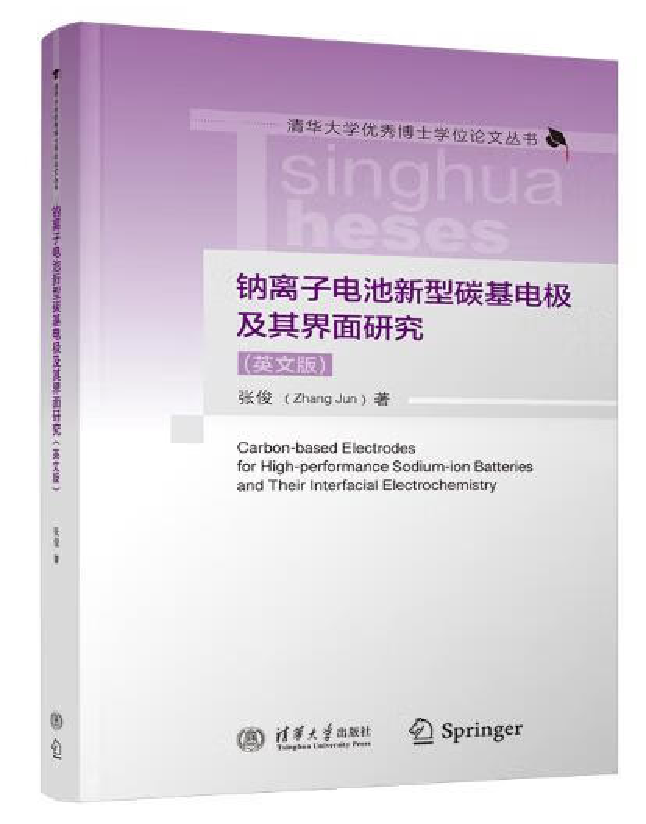 钠离子电池新型碳基电极及其界面研究