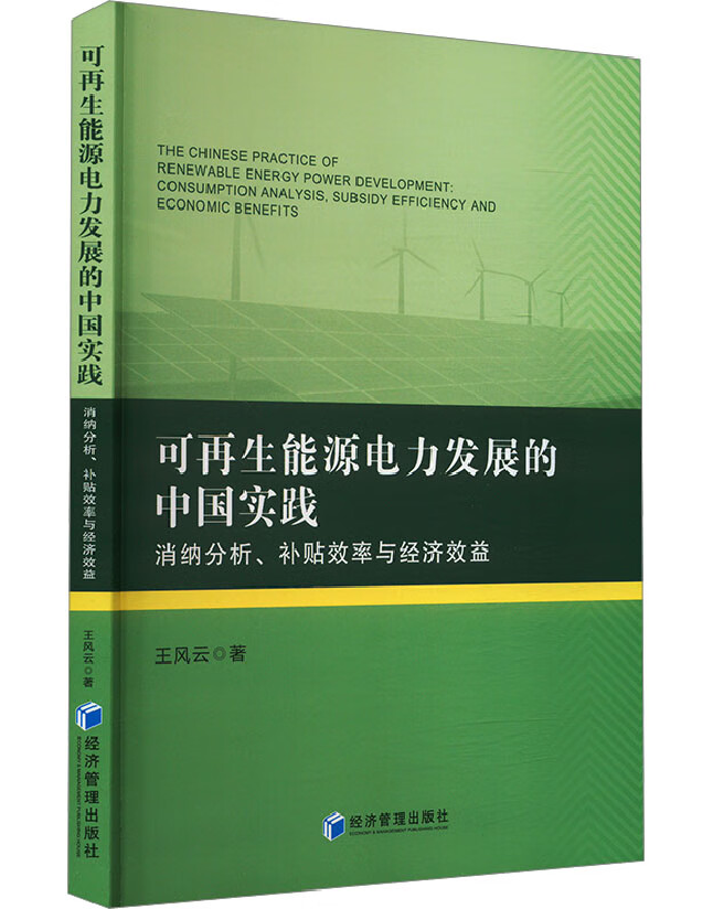 可再生能源电力发展的中国实践——消纳分析、补贴效率与经济效益