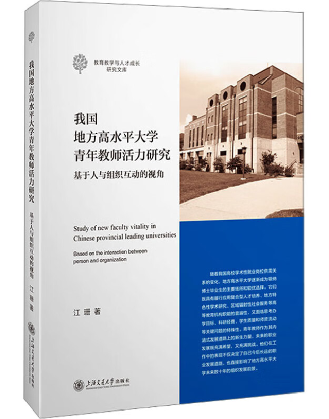 我国地方高水平大学青年教师活力研究